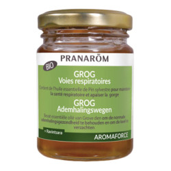 Pranarôm Aromaforce Grog vías respiratorias bio 100ml