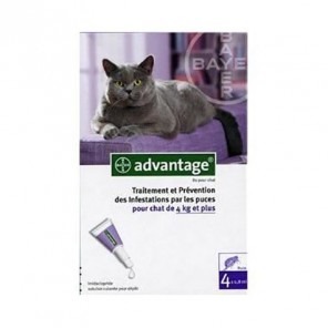 Advantage 80 cat 4 x 0,8 ml
