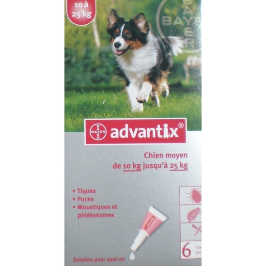 Bayer Advantix Chien Moyen 10 à 25kg 6 pipettes anti puces et tiques Bayer Advantix Chien Moyen 10 à 25kg 6 pipettes anti puces et tiques