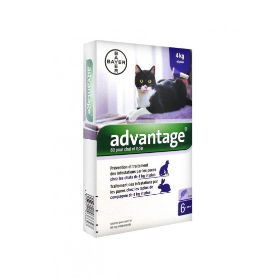 Bayer advantage 80 solution antipuce pour chat et lapin de 4kg et plus 6 pipettes Bayer advantage 80 solution antipuce pour chat et lapin de 4kg et plus 6 pipettes
