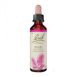 Flores de Bach Pino no 24 - 20ml