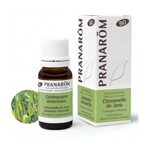 Pranarôm citronnelle de java huile essentielle 10ml Pranarôm citronnelle de java huile essentielle 10ml