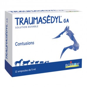 Traumasedyl GA solution buvable 1L