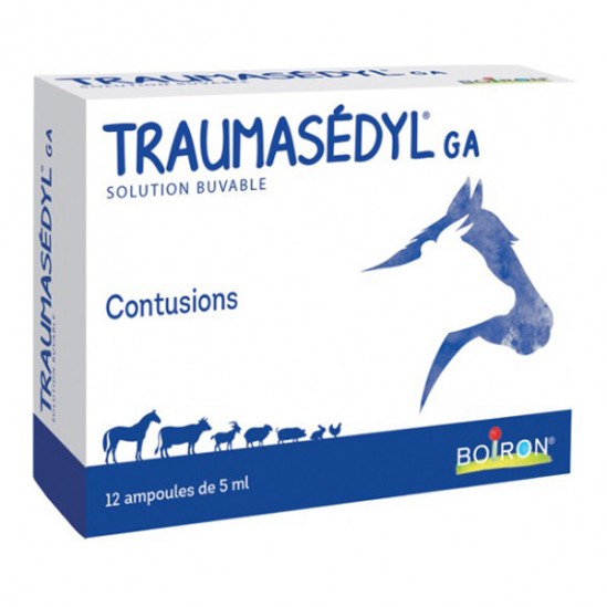 Traumasedyl GA solution buvable 1L