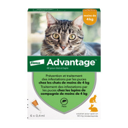 Advantage 40 para gatos y conejos