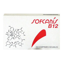 Moureau Sofcanis B12 - 40 comprimidos secos